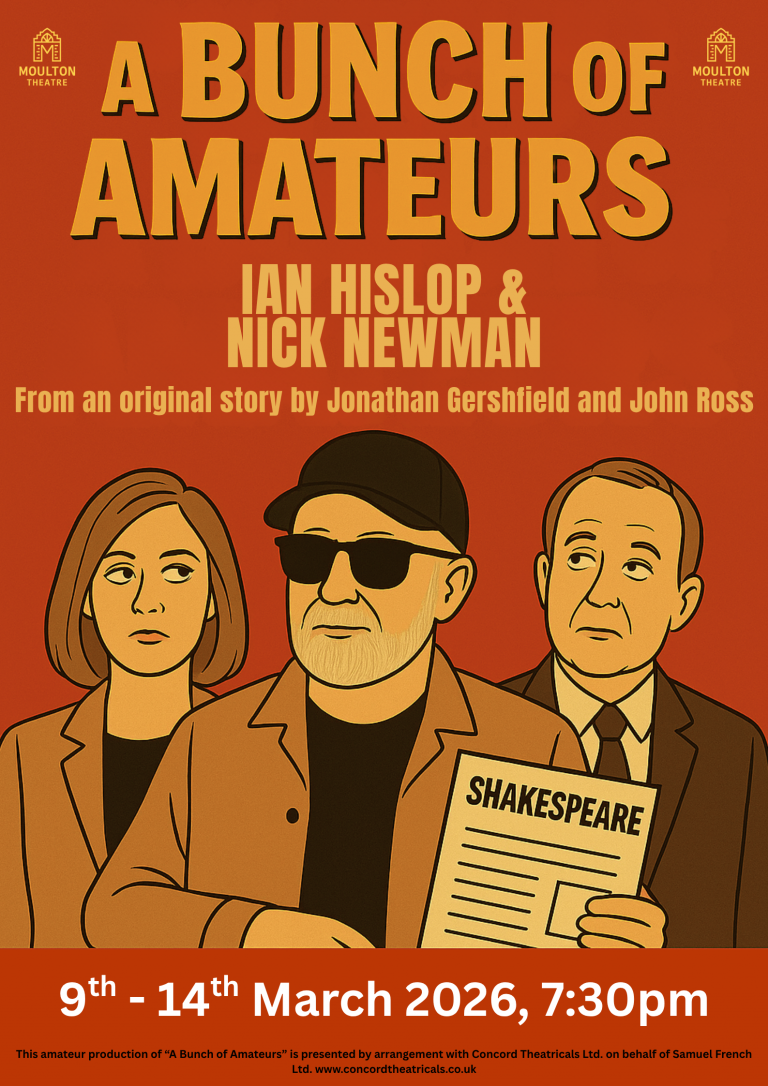 Bunch of Amateurs Poster